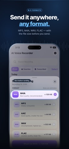 Smart Voice Recorder AI Screenshot 5 of 5