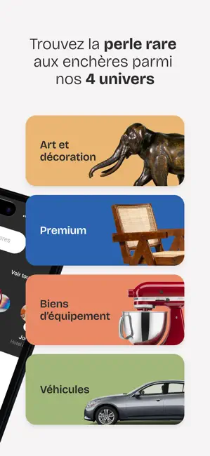 Interencheres enchère en ligne iPhone screenshot 2