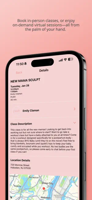 PUSH PPNFT screenshot 4