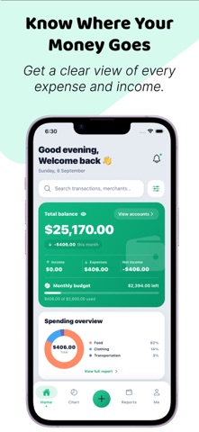 MoneyLexa — Expense Tracker screenshot