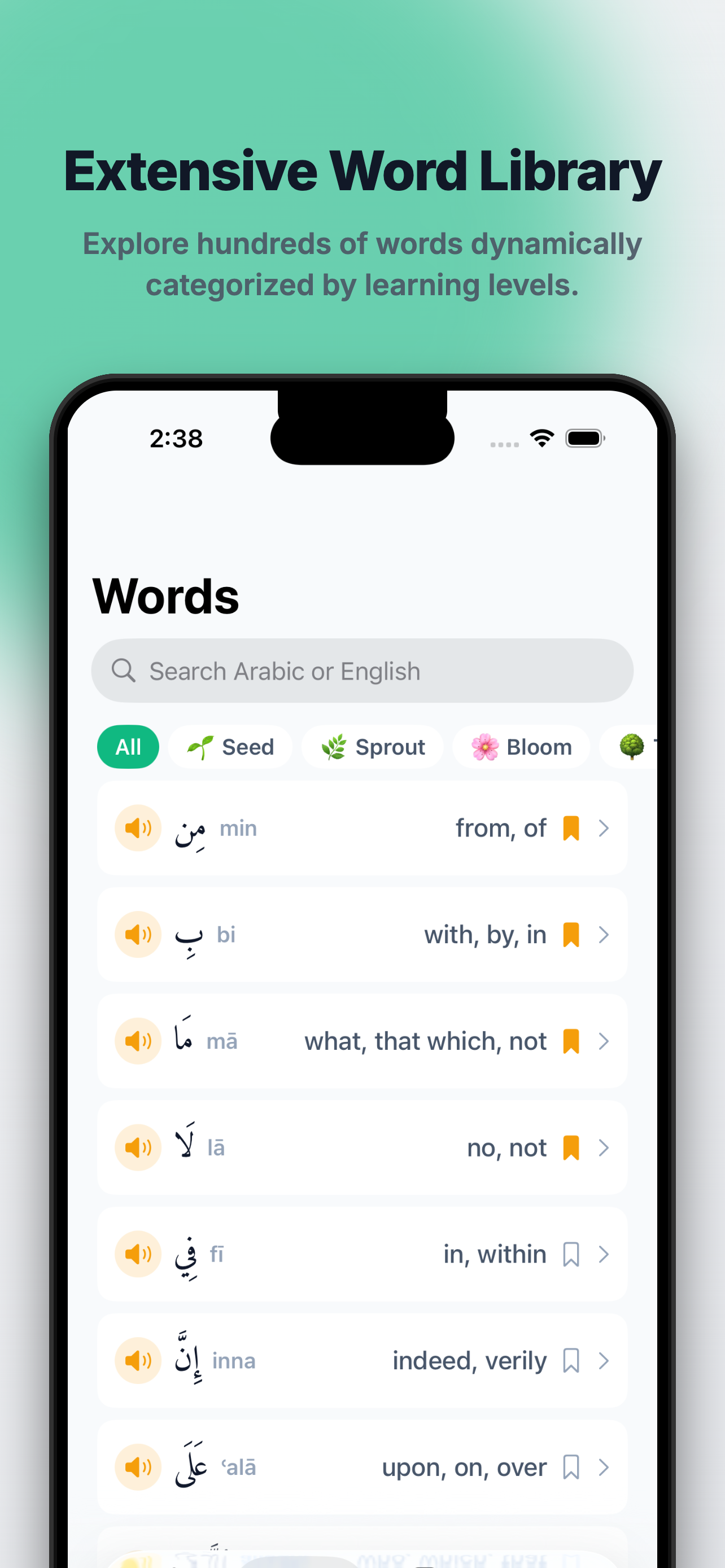 NoorLingo - نُور