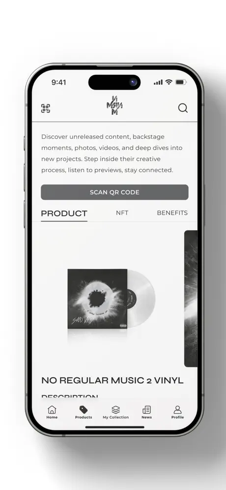 No Regular Music screenshot 3