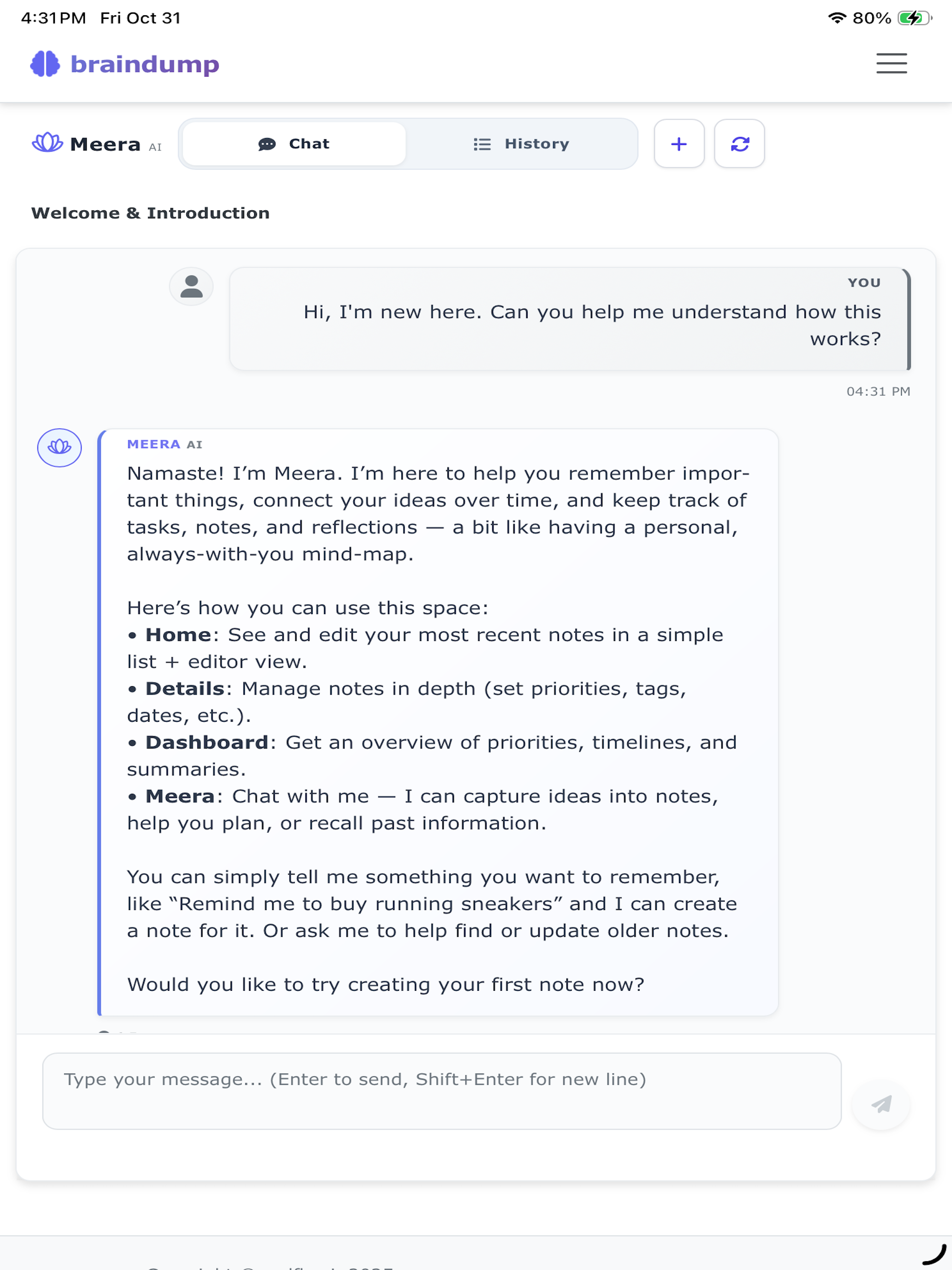 braindump.ai screenshot 17