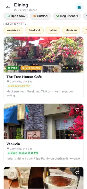 Carmel Guide screenshot 4