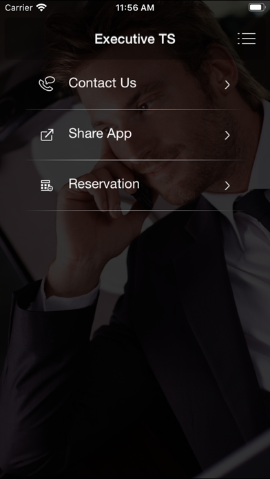ExecutiveTS Screenshot