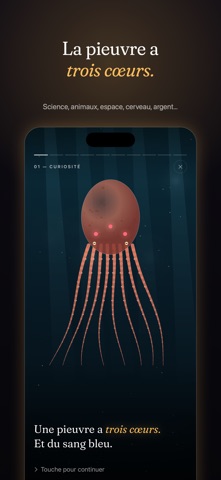 DING: One Idea a Day skärmbild 4