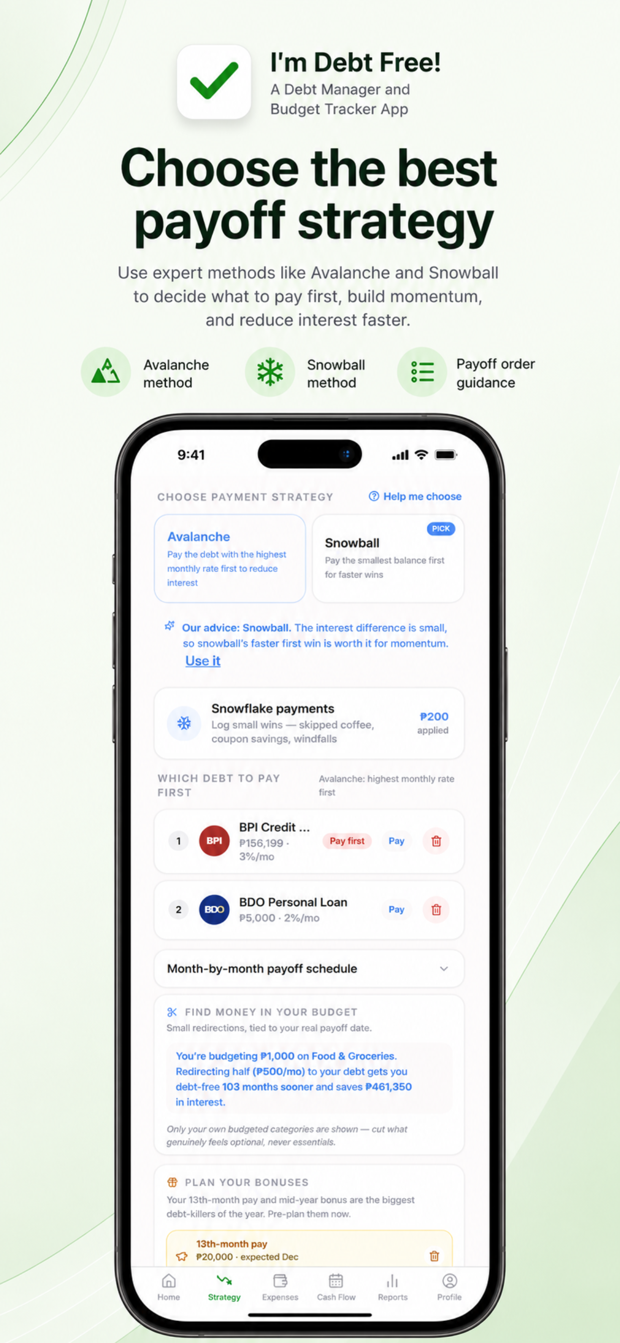 I'm Debt Free! screenshot 3