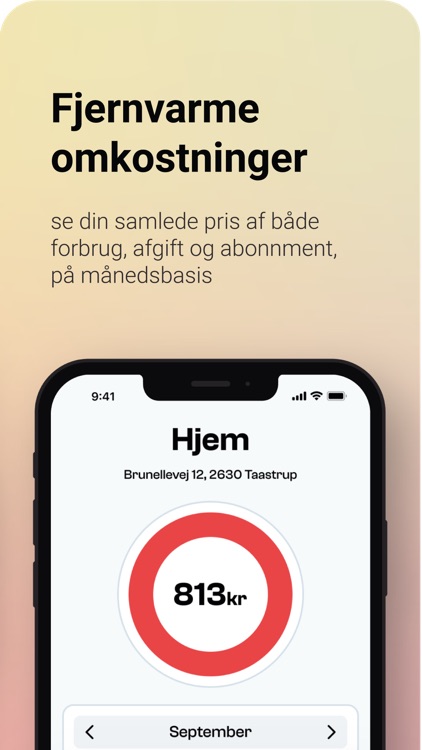 Hjemmeforbrug screenshot-3