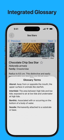 Galápagos Marine Life screenshot