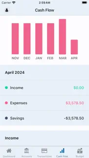 capstone: financial tracker iphone screenshot 4