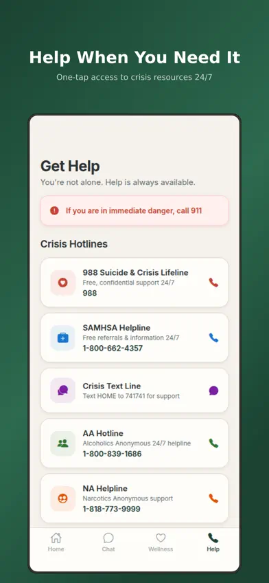 Clear Days (c2fa4a) screenshot 5