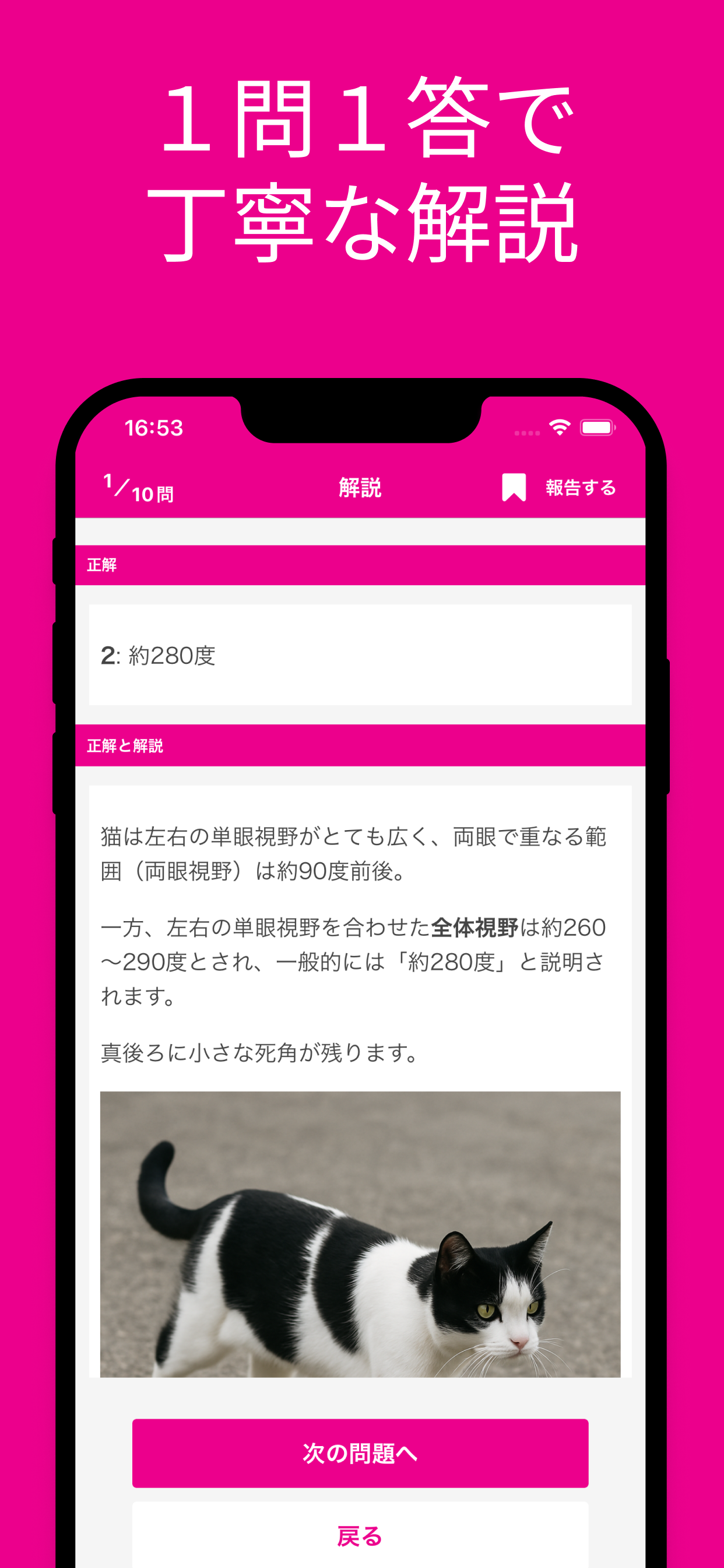 ねこ検定 初級 対策アプリ
