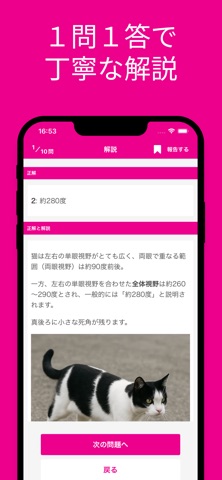 ねこ検定 初級 対策アプリ screenshot