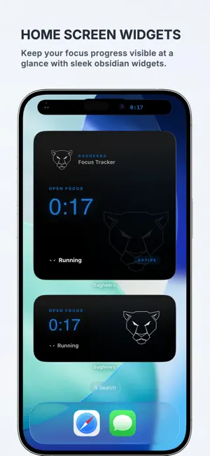 Focus & Study Timer - Bagheera screenshot 3