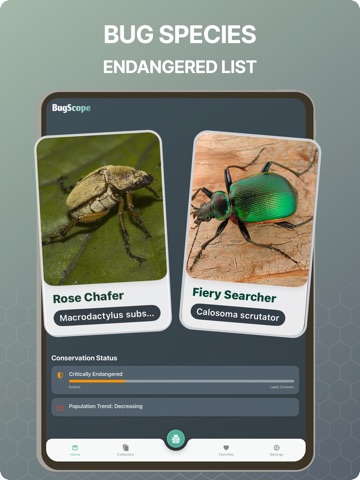 Bug Identifier - BugScope iPad screenshot