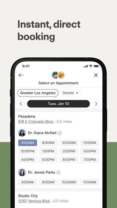Modern Animal Screenshot