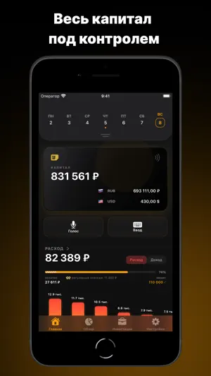 Цифры: учет расходов и бюджет screenshot 1
