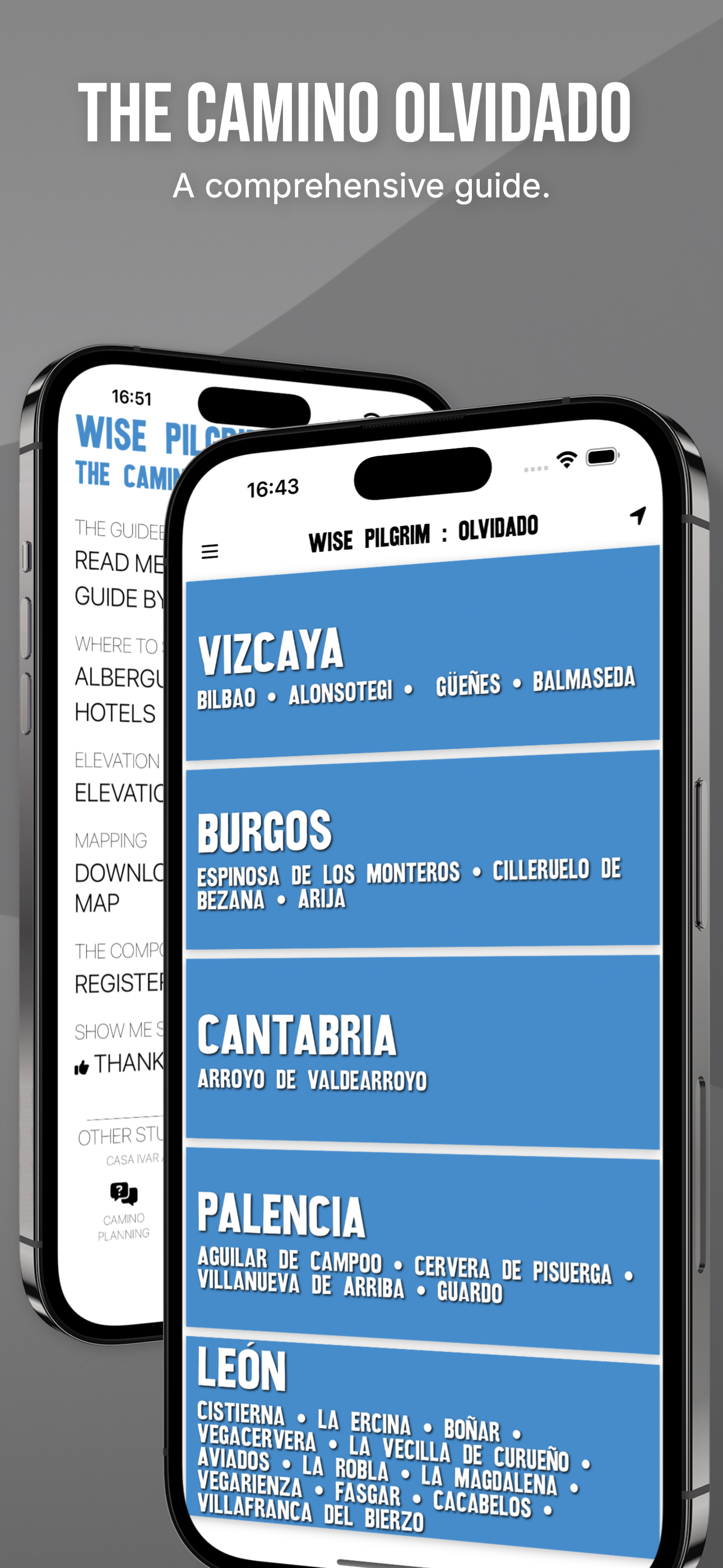 Wise Pilgrim Camino Olvidado