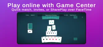 Pinochle: Two-Handed screenshot 2