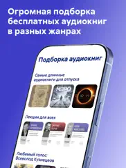 Литрес: Аудиокниги онлайн айпад изображения 3