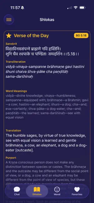 Krishna AI Chat screenshot 3