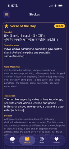 Krishna AI Chat Screenshot 3 of 5