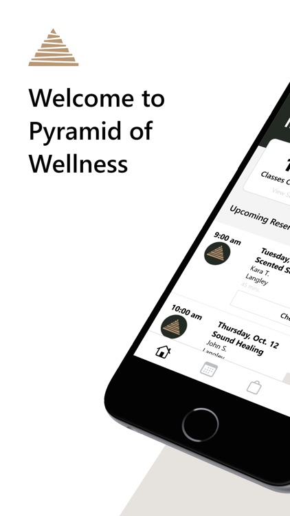Pyramid of Wellness