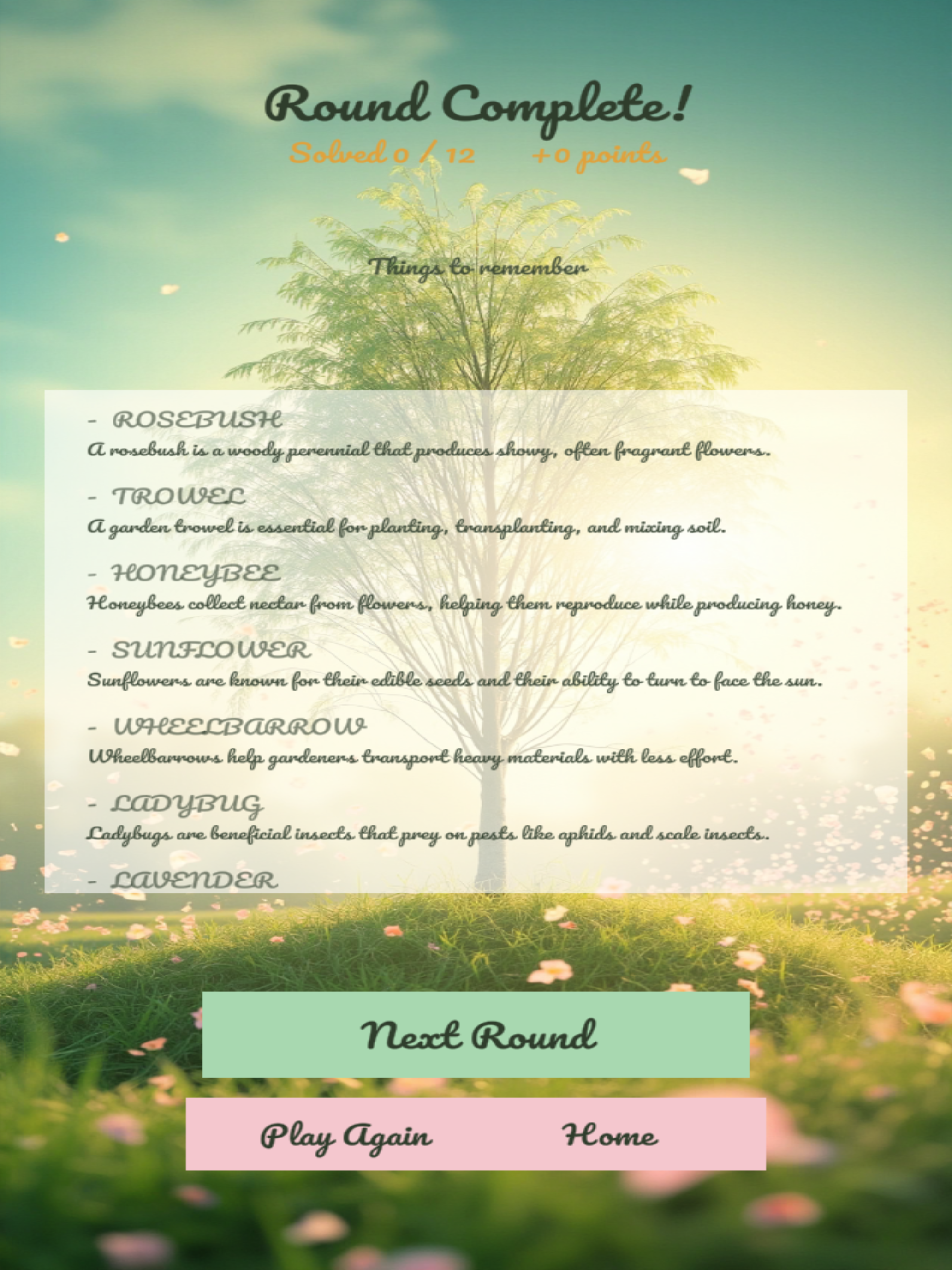 Willow Word Sprout