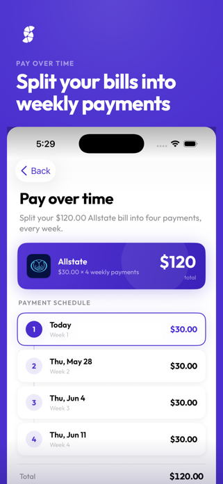 Pay with Sublime Screenshot 1 of 5