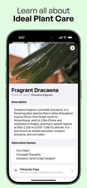 Plantena - AI Plant Identifier screenshot 2