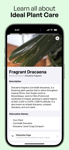 Plantena - AI Plant Identifier screenshot