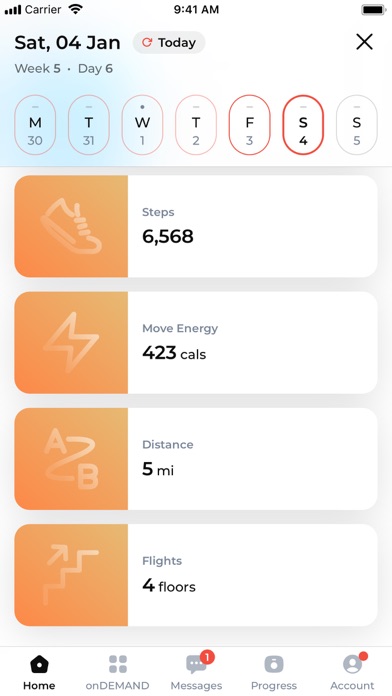 Shanny BeFIT Screenshot