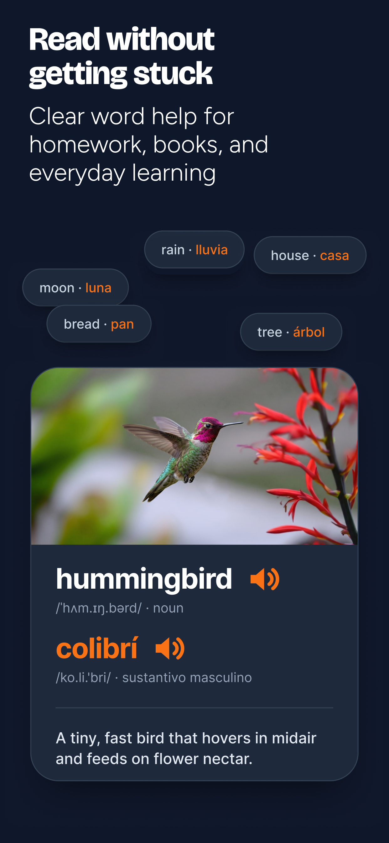 Geek Dictionary: Bilingual ESL screenshot 6