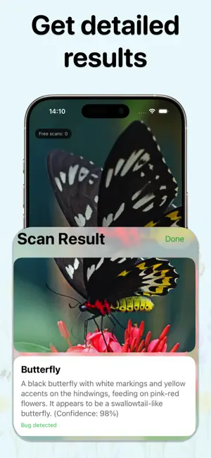 Bug Identifier: Buzzy Insect screenshot 3