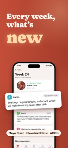 Filiz: Pregnancy Tracker Screenshot 5 of 8