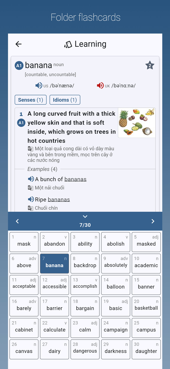 Từ Điển Anh-Việt Oxford
