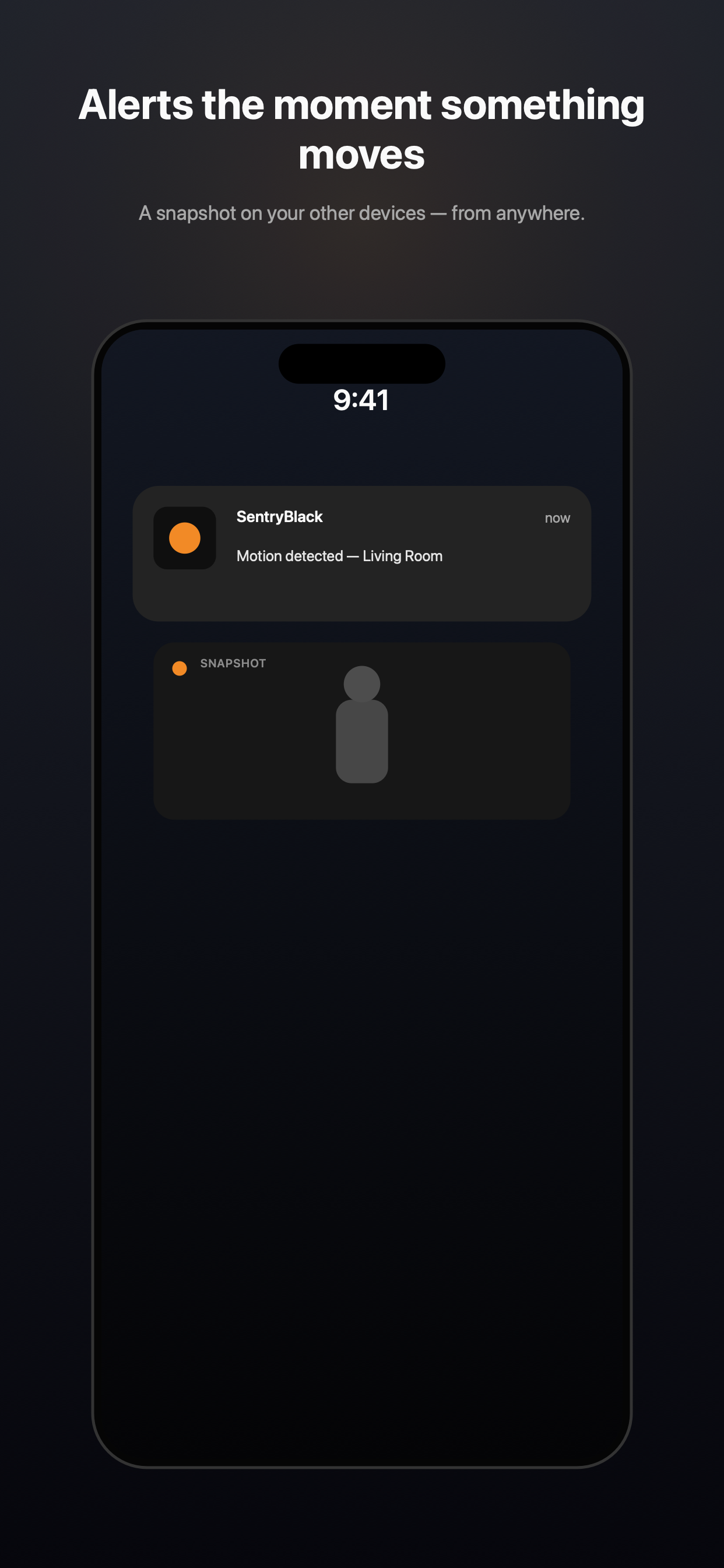 SentryBlack — Security Camera screenshot 2
