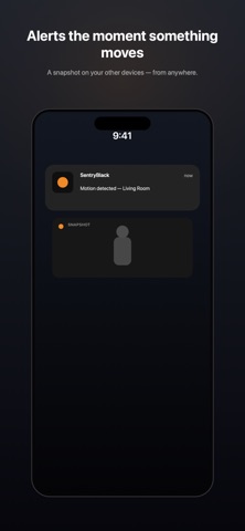 SentryBlack — Security Camera Screenshot 2 of 5