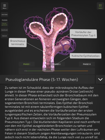 Insight NeoLung iPad screenshot