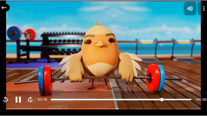 ROKiT FLiX Screenshot