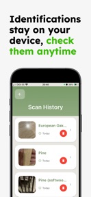 Wood Identifier: Wuddy screenshot