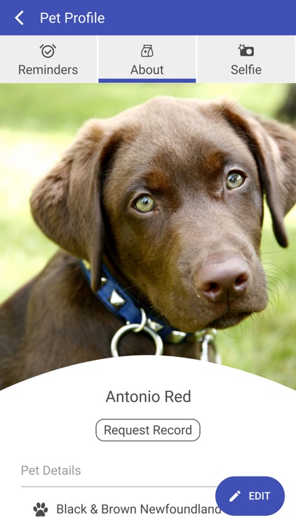 Bee Ridge Veterinary Clinic