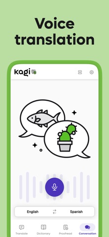 Kagi Translate iPhone screenshot