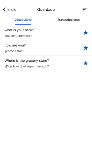 Captura de pantalla de Traductor De Google en iPhone 6