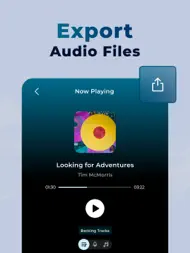 Vocal Remover AI Splitting ipad bilder 2