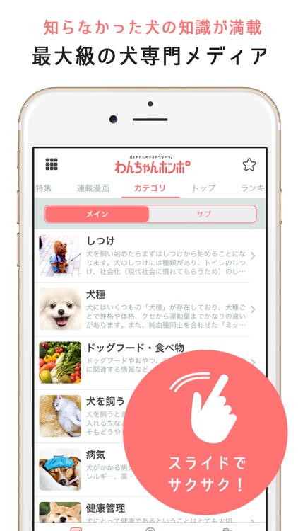 犬のニュースや飼い方の情報をまとめ読み -わんちゃんホンポ- screenshot-4