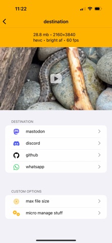 video for ants app screenshot