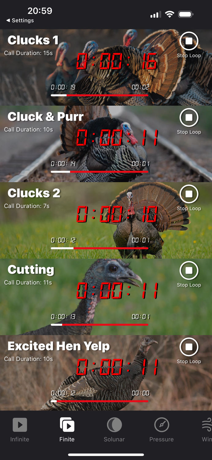 Turkey Calls for Hunting