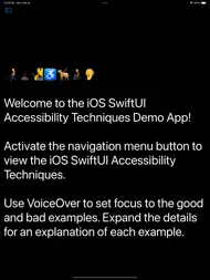 Accessibility Techniques ipad bilder 0