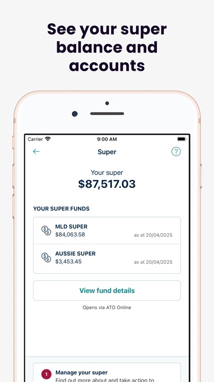 Australian Taxation Office screenshot-4